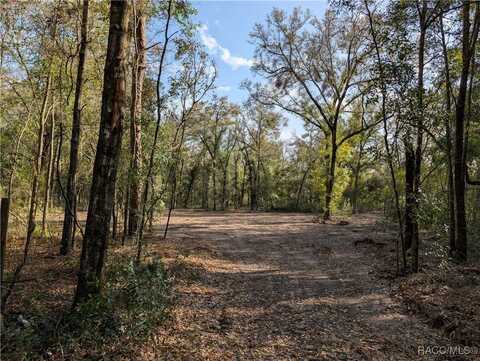 290 E Joshua Court, Hernando, FL 34442