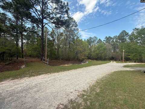 115 Carefree Ct, Leesville, SC 29070