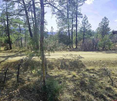 220 & 248 Rock Point Place, Pagosa Springs, CO 81147