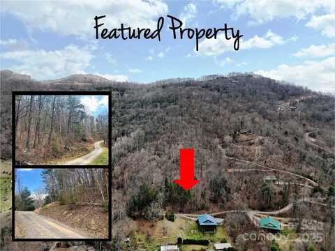Tbd Moonbeam Lane, Clyde, NC 28721