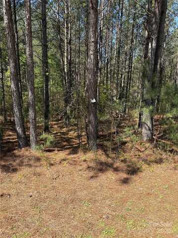 108 Whispering Pines Lane, Mooresboro, NC 28114