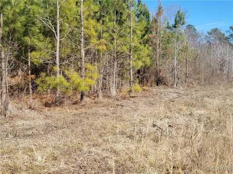 Whitehead Road, Branchville, VA 23828