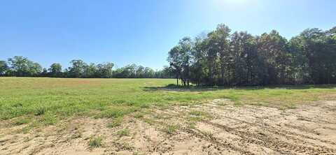 Lot 7 8.17 Acres Grady Garner Rd, Slocomb, AL 36375