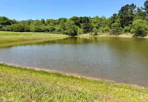 12.37 Acres Huskey Road, Dothan, AL 36303