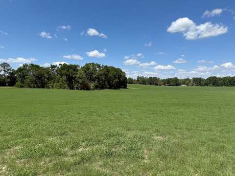 Lot 1 US Hwy 129, Bell, FL 32619