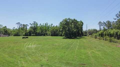 242nd St, Cross City, FL 32628