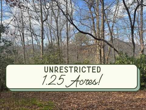 1185 Watauga Road, Franklin, NC 28734