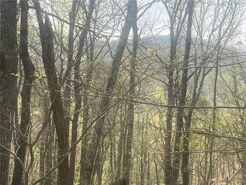 00 Bee Tree Ridge, Jasper, GA 30143