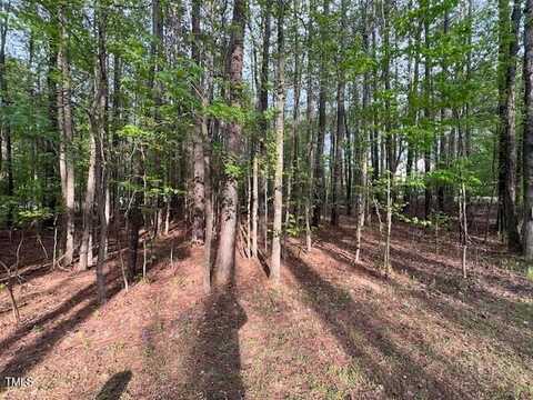 112 Buffalo Drive, Louisburg, NC 27549