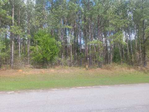 122 ARROWHEAD Circle, Hephzibah, GA 30815