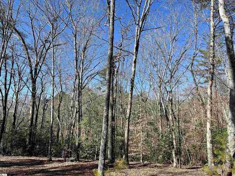 00 Landrum Creek Road, Marietta, SC 29661
