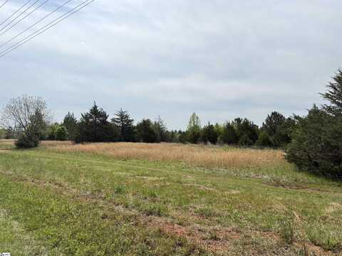 10.02 Acres Robin Road, Cowpens, SC 29330