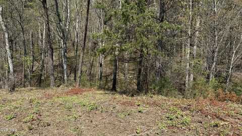 475 Bayside Boulevard, Bean Station, TN 37708