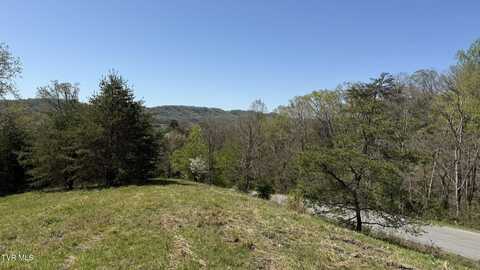 Lot 52 Bayside Boulevard, Bean Station, TN 37708