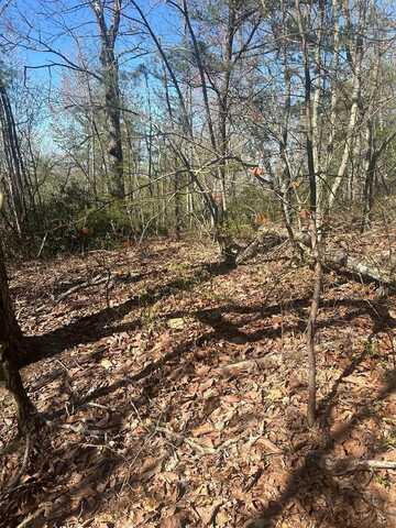 Lot 164 Bluff Lane, WILDER, TN 38589