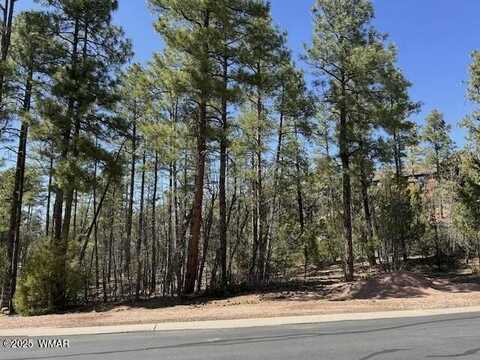 1680 W Snow Creek Loop, Show Low, AZ 85901