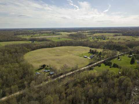 Vl E Bear Lake Road, Osseo, MI 49266