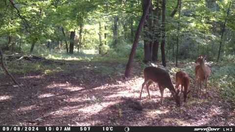 28639 M-40, Paw Paw, MI 49079