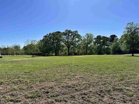 0000 CR 2313, Pittsburg, TX 75686