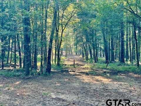 13050 Timber Creek Dr, Flint, TX 75762