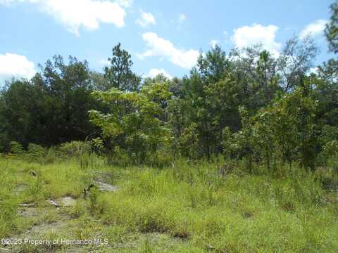 Lot 7 Rock Duck Avenue, Weeki Wachee, FL 00000