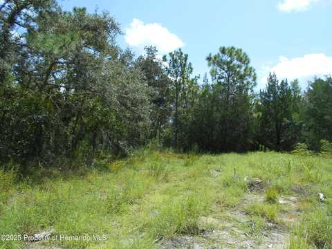 Lot 10 Godec Ct. Court, Weeki Wachee, FL 34613