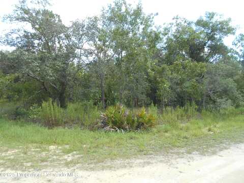Lot 9 Gold Crest Road, Weeki Wachee, FL 34614