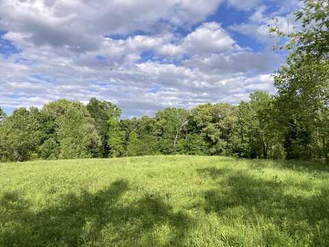 24.265 S Mohawk Road, Midway, TN 37809