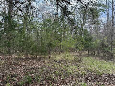 0 Long Branch Road Road, Beattyville, KY 41311