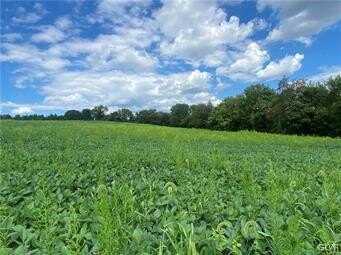 436 Willow Road, Lehigh Twp, PA 18088