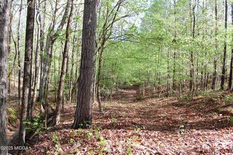 00000 Hwy 87 TRACT 5, Forsyth, GA 31029