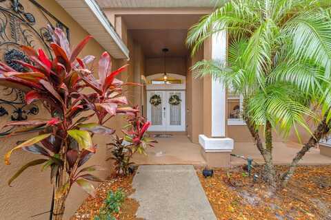 2539 CENTENNIAL FALCON DRIVE, VALRICO, FL 33596