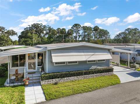 150 HICKORY LANE, EUSTIS, FL 32726