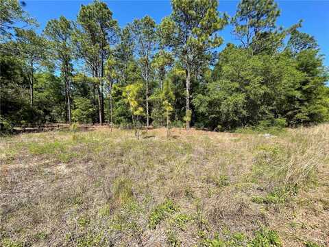 Lot 25 SW 21ST PLACE, OCALA, FL 34481