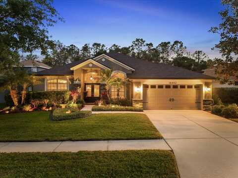 16442 BRIDGEWALK DRIVE, LITHIA, FL 33547