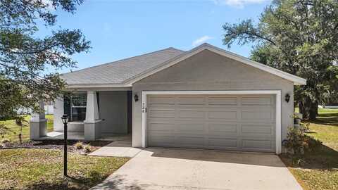 328 WOODLAND TRAIL, LADY LAKE, FL 32159