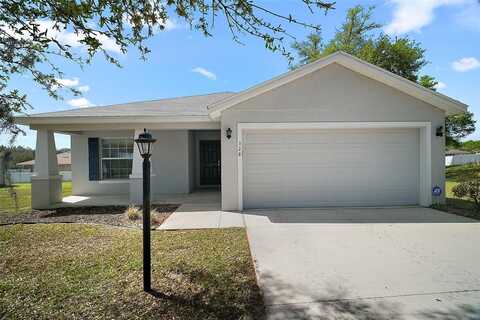 328 WOODLAND TRAIL, LADY LAKE, FL 32159