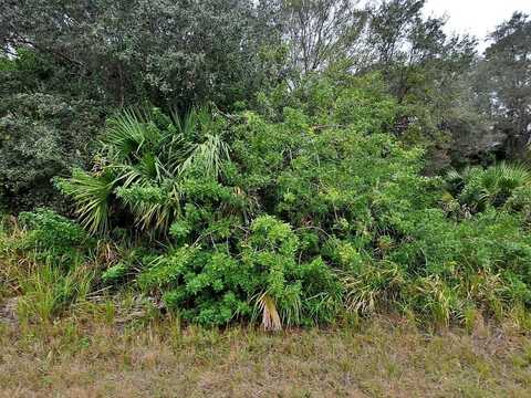 BREWSTER LOT #8 ROAD, NORTH PORT, FL 34288