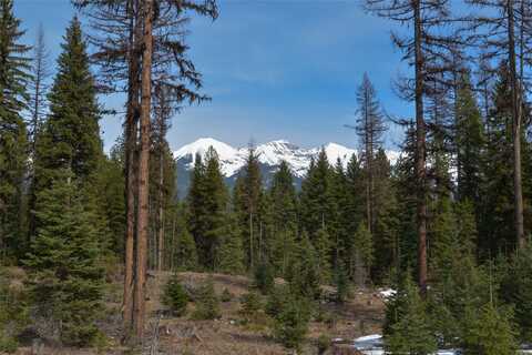 Nhn Scenic Drive, Condon, MT 59826