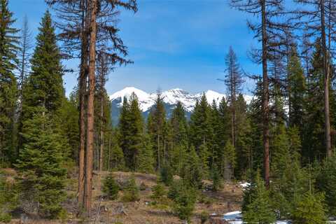NHN Scenic Drive, Condon, MT 59826