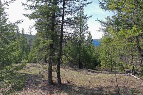 Nhn Brookes Drive, Rexford, MT 59930