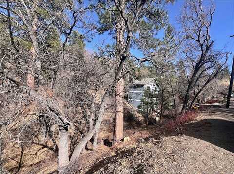 1230 S Minton Avenue, Big Bear City, CA 92314