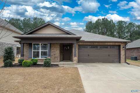 114 Westerbrook Drive, Toney, AL 35773