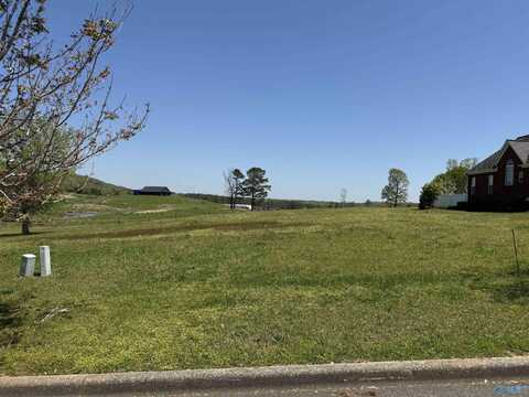 27 Silver Lakes Boulevard E, Gadsden, AL 35905