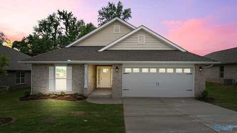 19832 Redhawk Drive, Athens, AL 35611