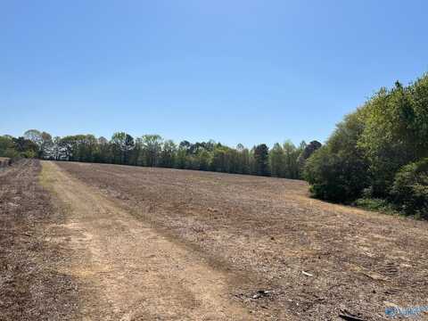 25 Acres Wolf Creek Road, Albertville, AL 35951