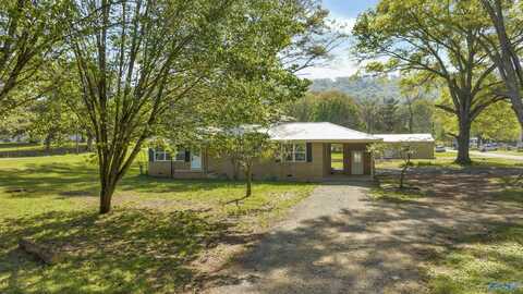 417 Railroad Avenue, Valley Head, AL 35989