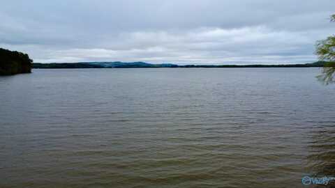 * John Cabaniss Road, Langston, AL 35755