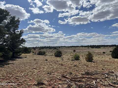 8913 Water Tank - Lot C Circle, Williams, AZ 86046