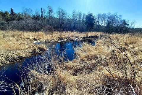 404 Burrows Lake Road, Tomahawk, WI 54487
